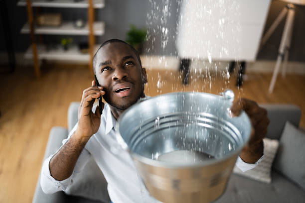 Best Water damage contractors near me  in Lake Jackson, TX