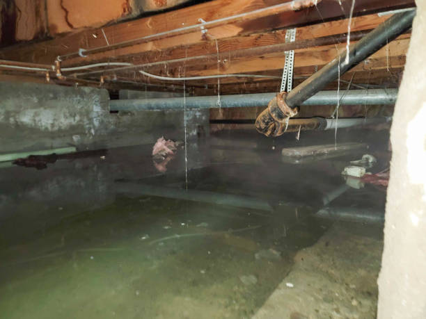 Best Ceiling water damage repair  in Lake Jackson, TX