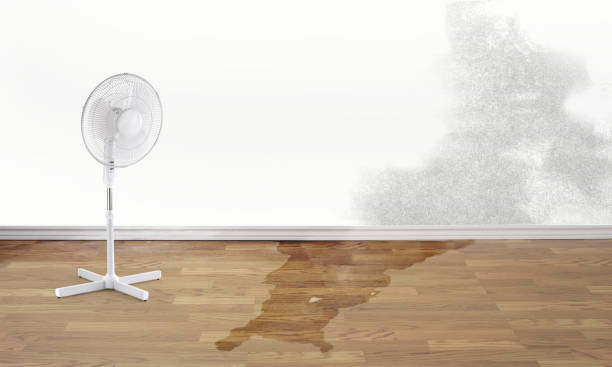 Best Water damage restoration near me  in Lake Jackson, TX