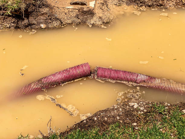 Best Sewage cleanup and water damage restoration  in Lake Jackson, TX